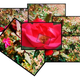 Image for article titled Shooting Challenge Cubism Gallery